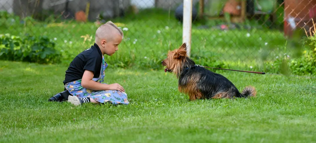 A toddler sits on a green lawn facing a small dog in a backyard, capturing a family-pet moment.