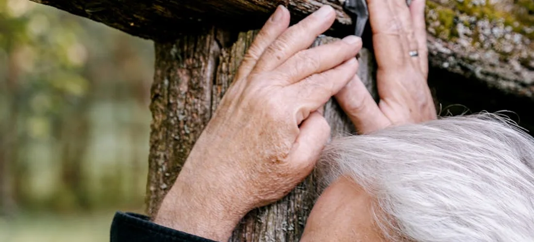An older person with white hair rests their hands on a tree trunk, a gesture of grief and searching for guidance.