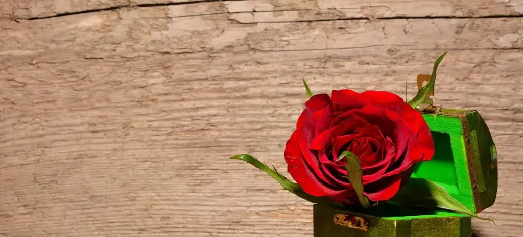Average Funeral Service Costs in California for 2024: A Compassionate Guide