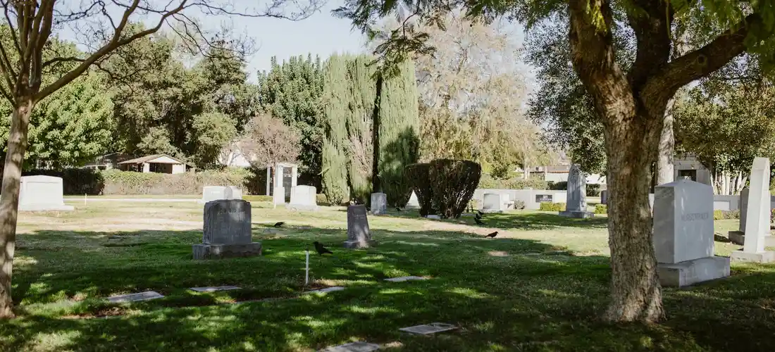 Cemetery with headstones and trees on a sunny day