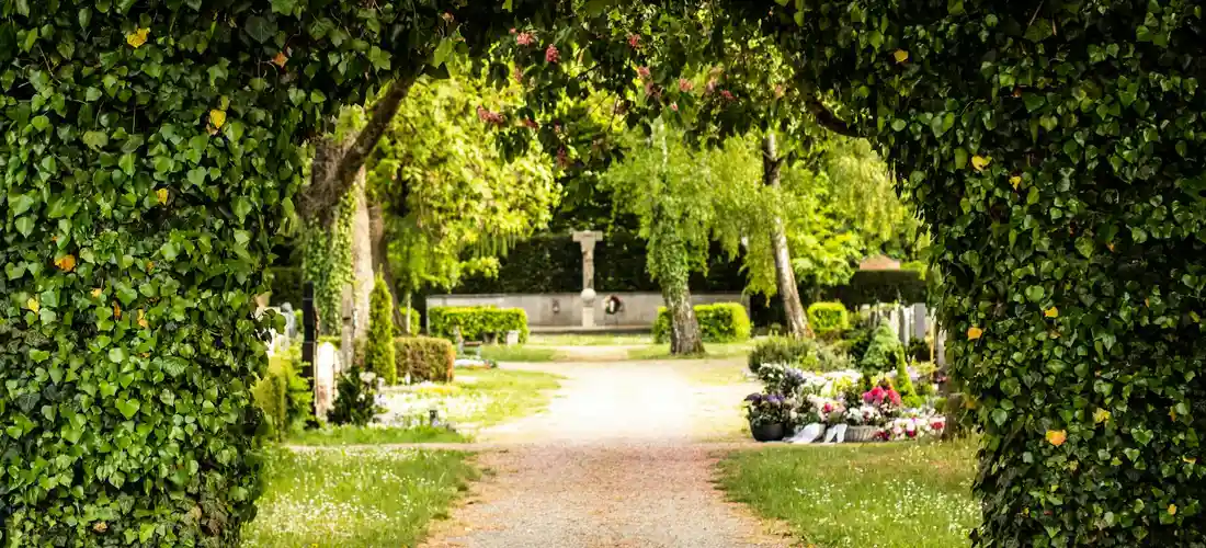 Pathway through a lush cemetery garden with an arching canopy of trees and a distant cross surrounded by flowers.