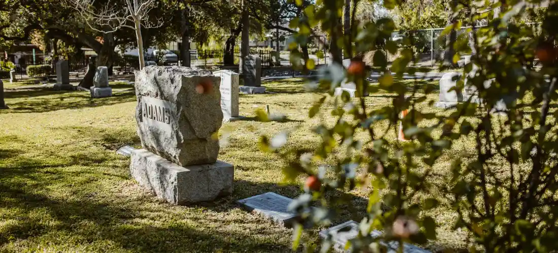 Sunlit cemetery with gravestones among green grass and trees, illustrating natural burial settings.