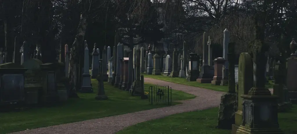 Planning a Virtual Funeral on Zoom: A Compassionate, Step-by-Step Guide