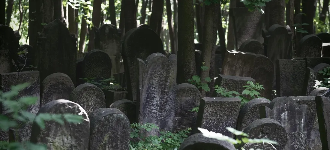 Graveyard scene with weathered headstones among trees and greenery