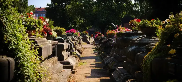 Rows of tombs with colorful potted flowers lining a cemetery path.
