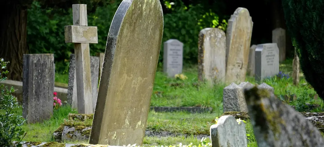 Rows of weathered gravestones in a sunlit cemetery