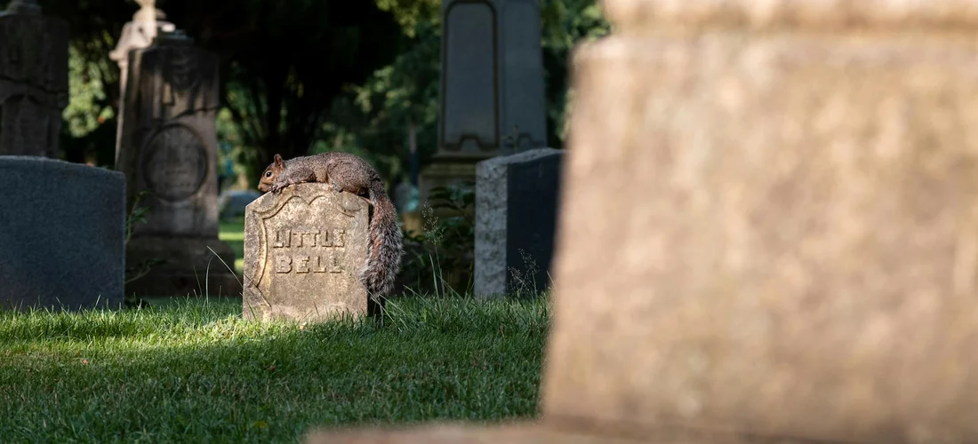 Graveyard scene with a weathered gravestone in the foreground and other headstones in the background