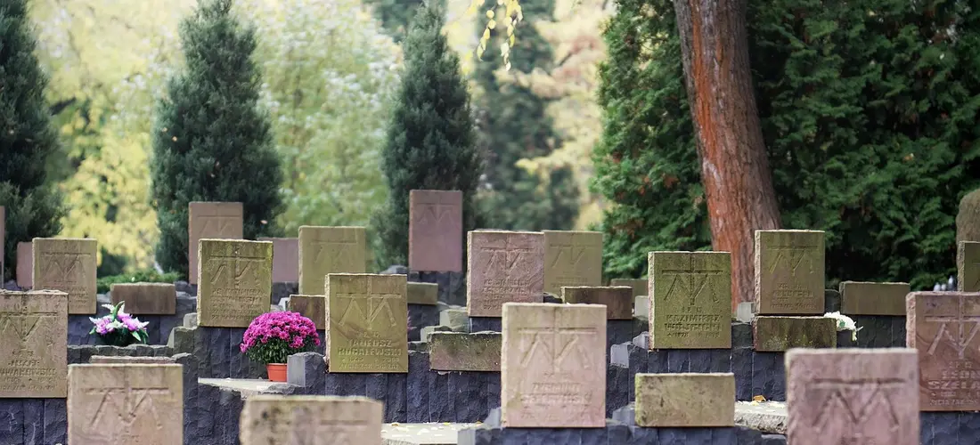 Rows of square headstones in a cemetery surrounded by trees