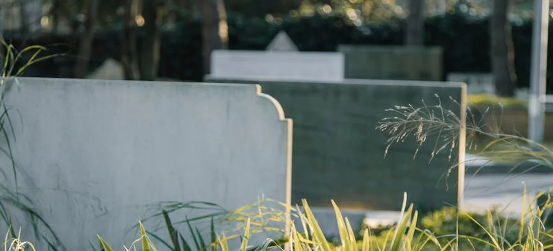 A cemetery scene with headstones and green plants in the foreground