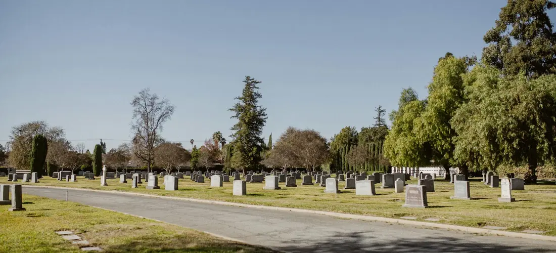 Cemetery with rows of gravestones, a paved path, and trees under a clear blue sky.