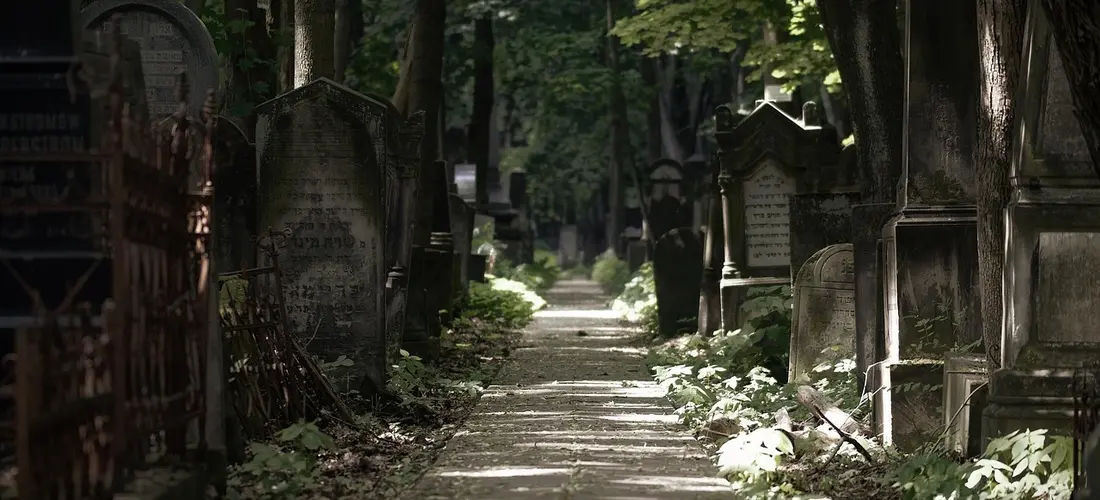 A quiet cemetery path lined with old gravestones and green foliage