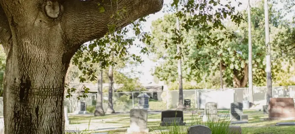 Islamic Funeral Customs and Traditions: A Guide to Muslim Burial Procedures