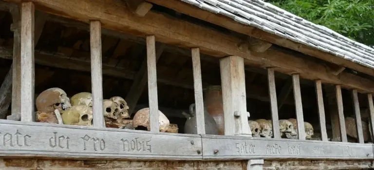 Row of human skulls and bone remnants displayed in a rustic wooden display case.