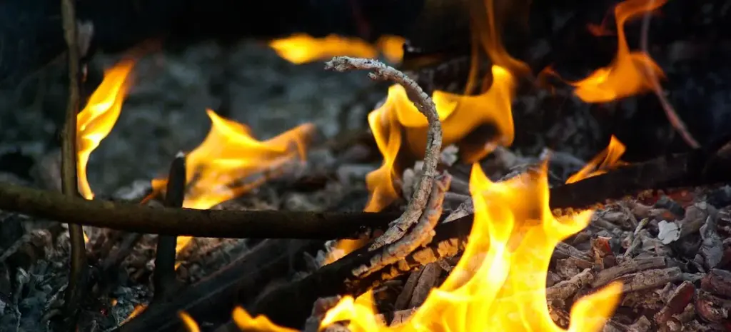 Is DNA Extraction from Cremated Ashes Possible? A Compassionate Guide