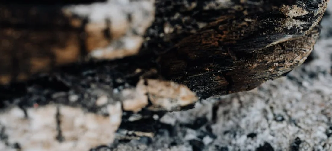 Close-up of cremation ash and charred material with a textured, granular surface