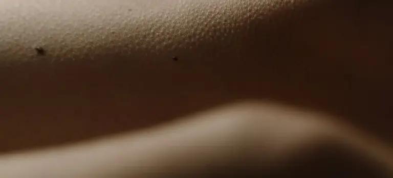 Close-up view of human skin texture with soft lighting, illustrating non-graphic appearance considerations tied to embalming.