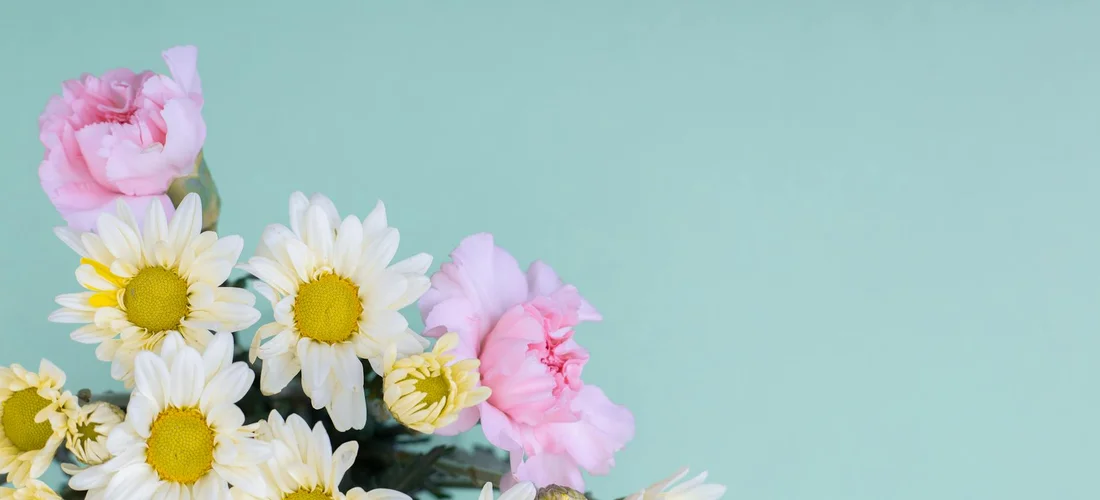 A pastel bouquet of white daisies and pink peonies against a light teal background.