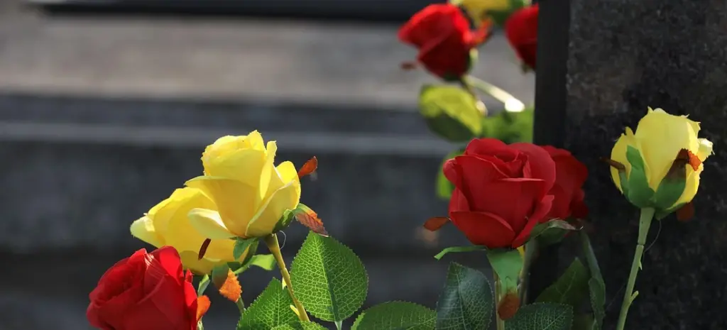 What Should You Write in a Funeral Guest Book and Where Can You Buy One?