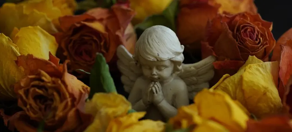 Finding Trust and Affordability in Funeral Planning: A Compassionate Guide