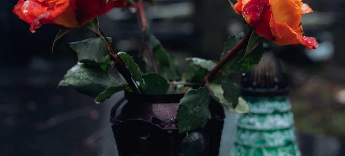 Close-up of red and orange roses in a dark vase with a blurred background.