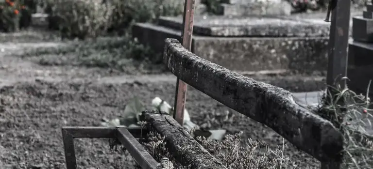 Black-and-white photograph of a moss-covered wooden bench in a cemetery, with tombstones and grass in the background.