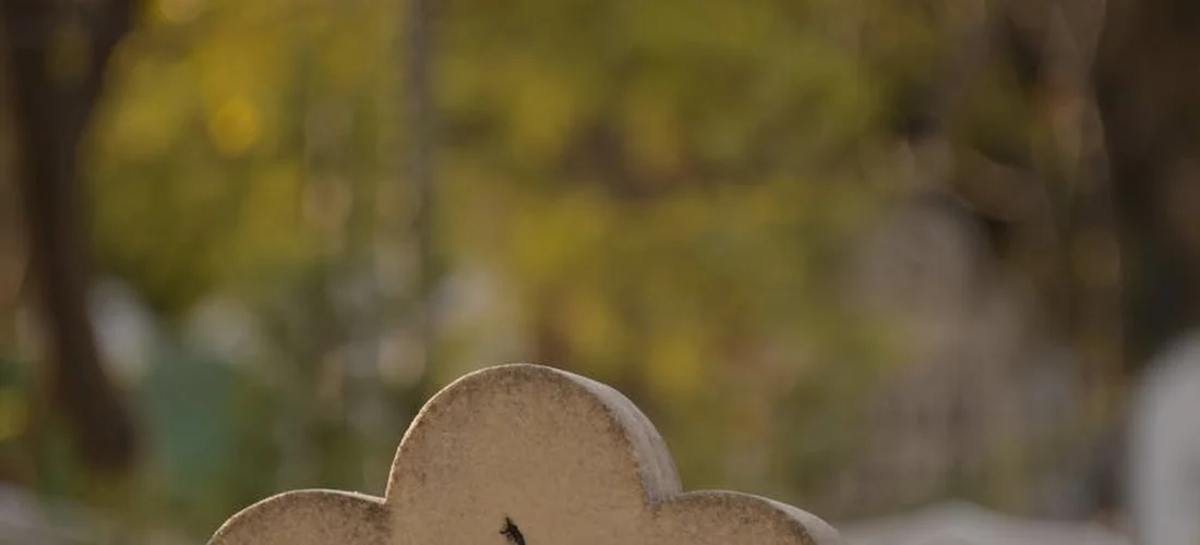 Gravestone in a cemetery with a soft-focused background of trees