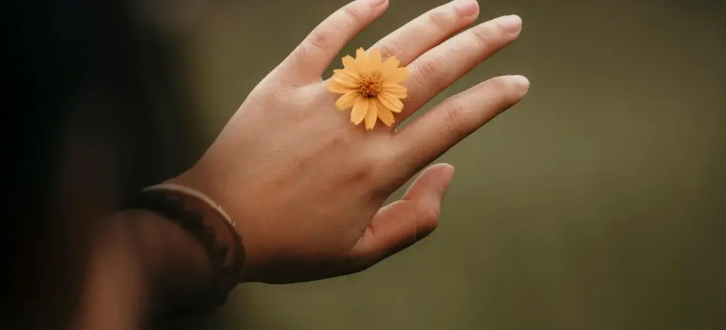 Turning Cremation Ashes into Diamonds or Memorial Jewelry: A Gentle Guide