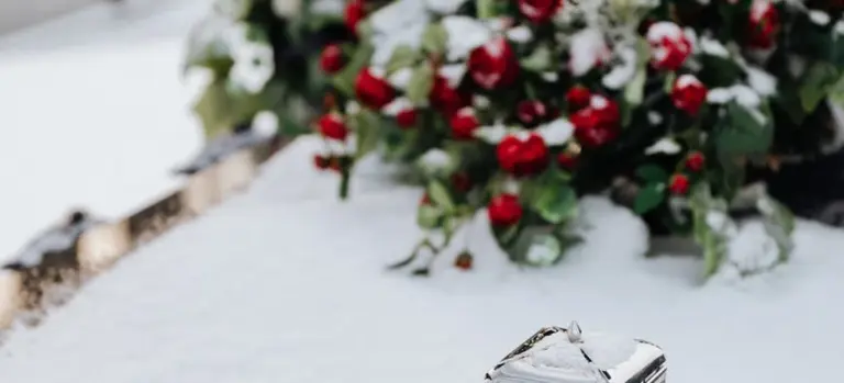 A small metal casket rests in the snow with a bouquet of red roses in the background, evoking a winter funeral scene.