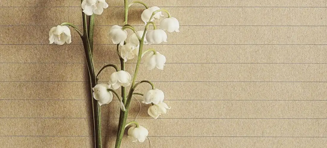 A stem of white Lily of the Valley flowers resting against a beige lined notebook background.