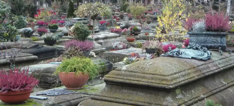 A cemetery with weathered stone tombs and colorful potted plants, representing burial grounds and cultural heritage.