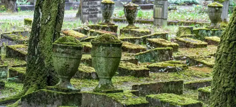 Moss-covered gravestones and urns in a quiet cemetery, illustrating natural burial settings.