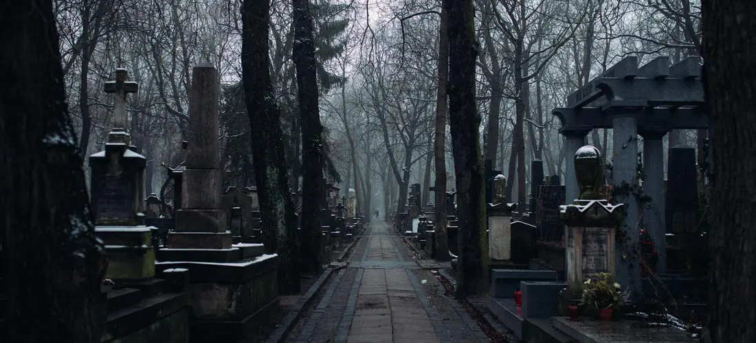 Gloomy cemetery with a rain-wet path lined by tombstones and bare trees.