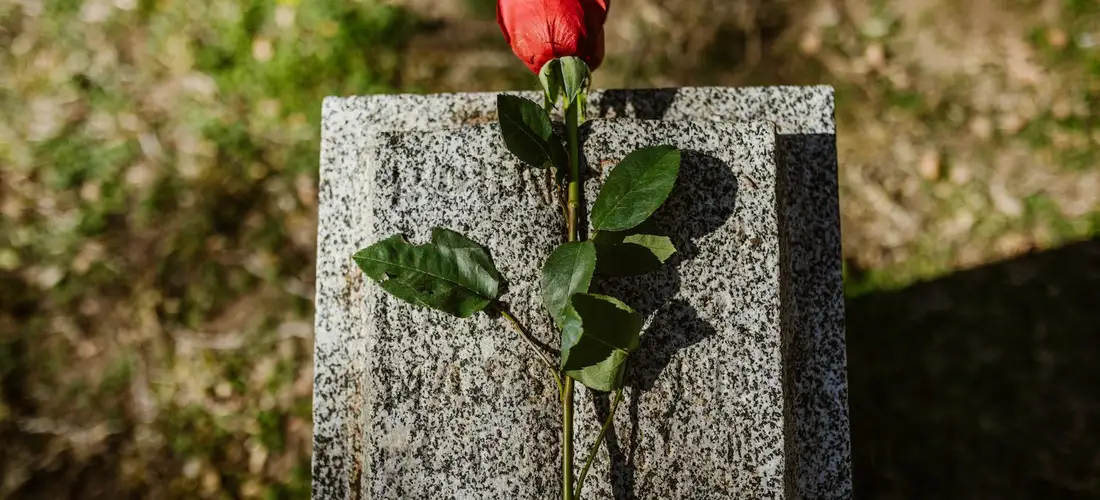 A single red rose leaning against a gray granite tombstone in a graveyard.