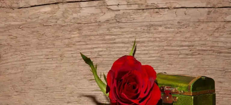 Red rose resting beside a small green keepsake box on a rustic wooden background
