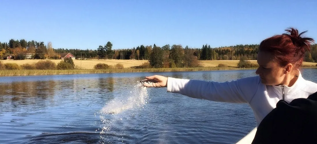 Person on a boat scattering cremated ashes into a lake, with autumn trees and houses in the distance.