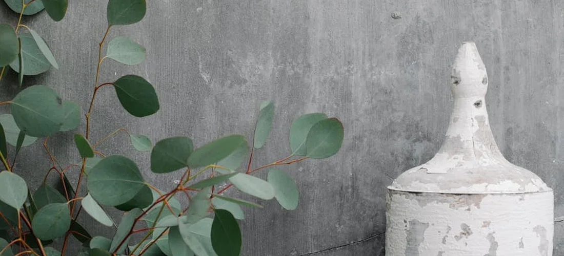 A weathered white urn placed against a gray concrete wall, with green eucalyptus leaves beside it.