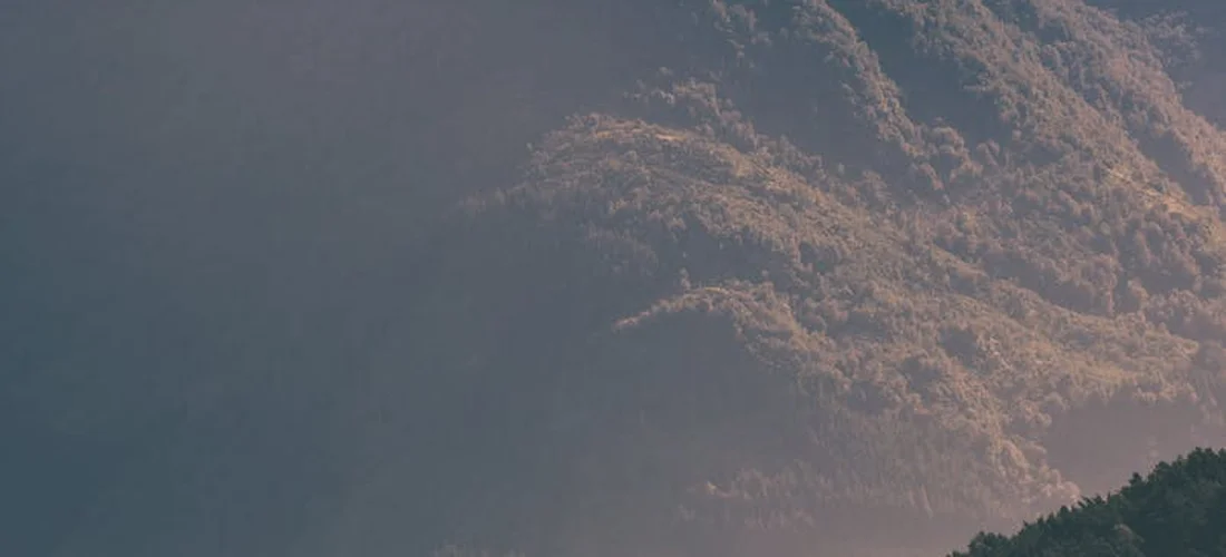 Soft twilight sky with wispy clouds over a treeline, suggesting quiet reflection.