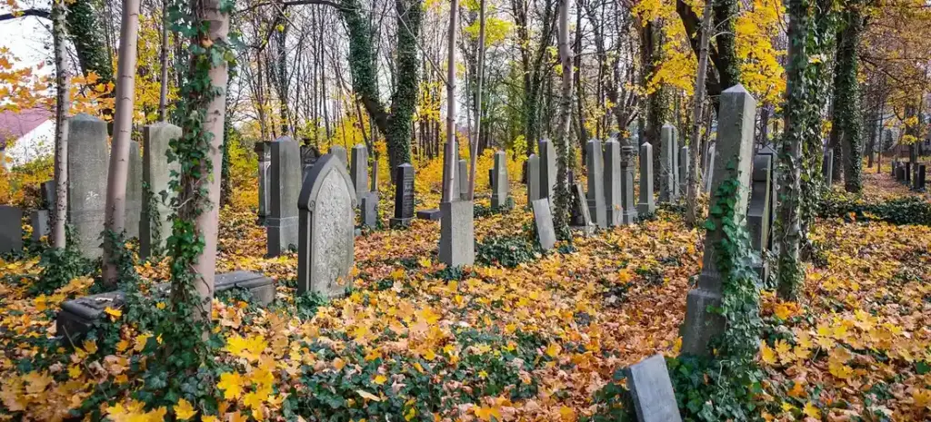 Understanding Death Benefits in Annuities and Insurance Policies