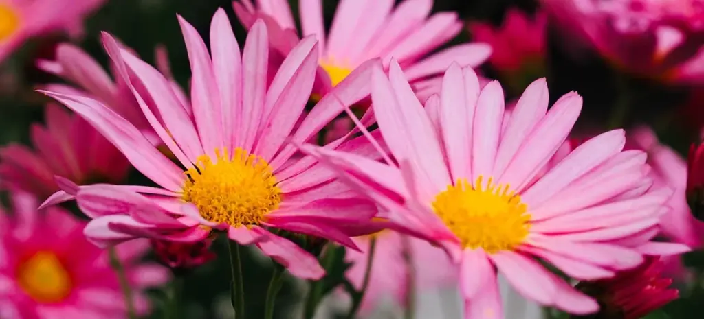 Post-Funeral Gathering Names: A Compassionate Guide